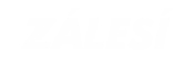 Primary Raster logo
